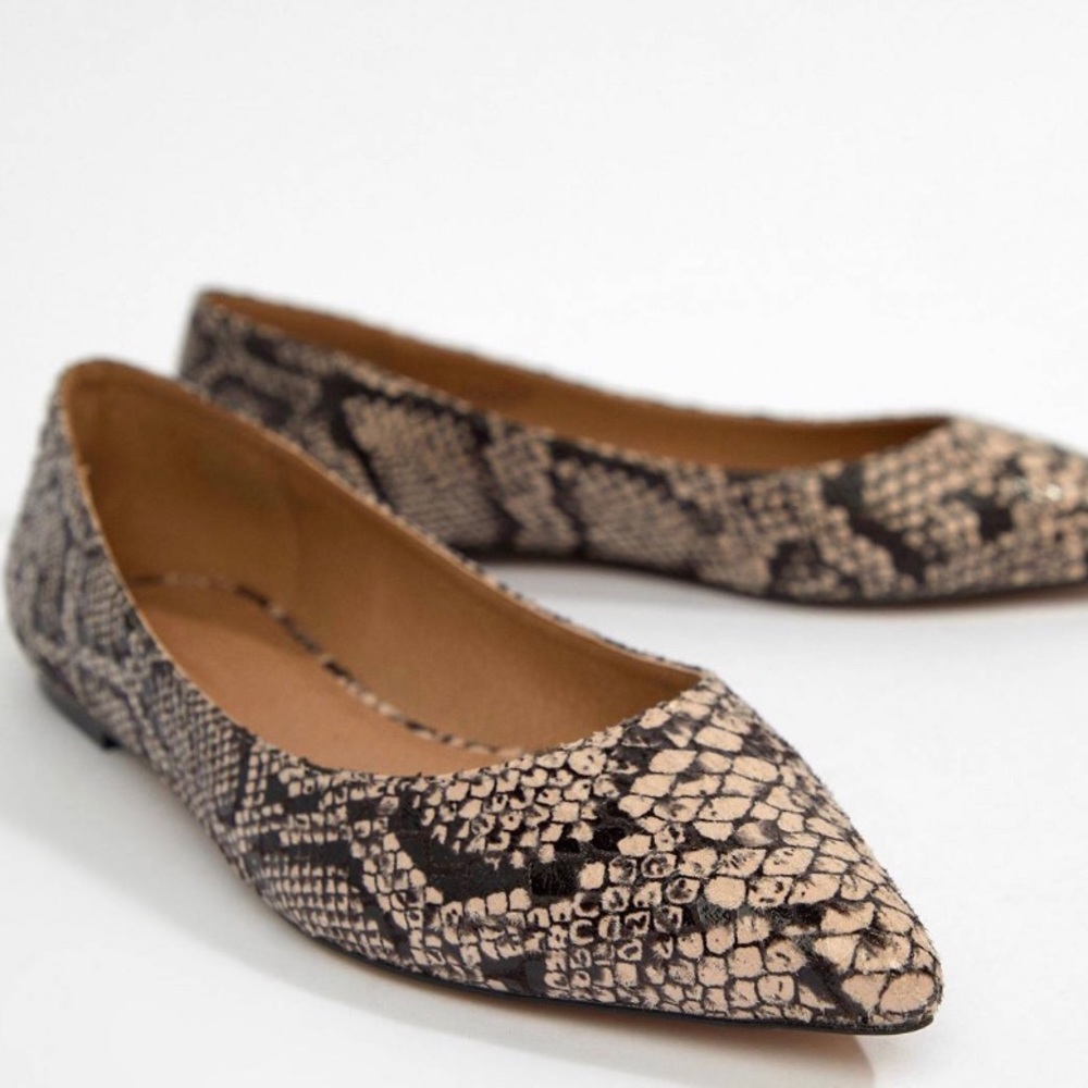 Latch Pointed Ballet Flats in snake